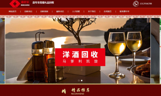 嘉年华品牌营销型网站建设案例